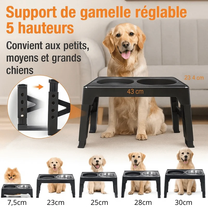 Gamelle ajustable pour grand chien