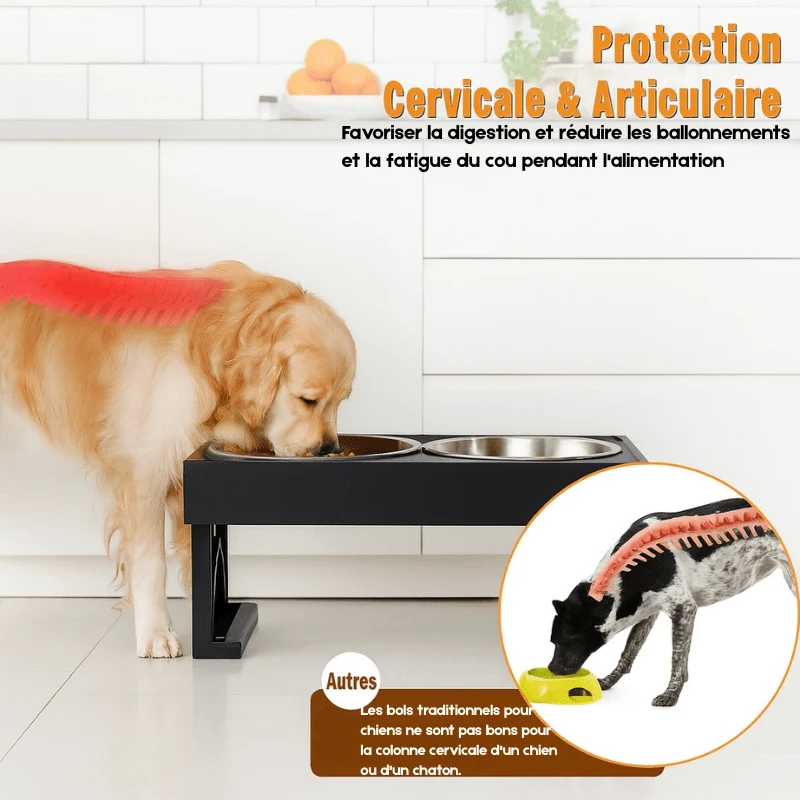 Gamelle pour chien réglable en hauteur