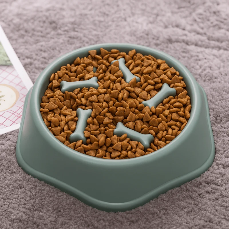 Gamelle anti-goinfre pour chien