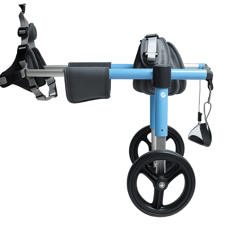 Chariot de marche pour chien