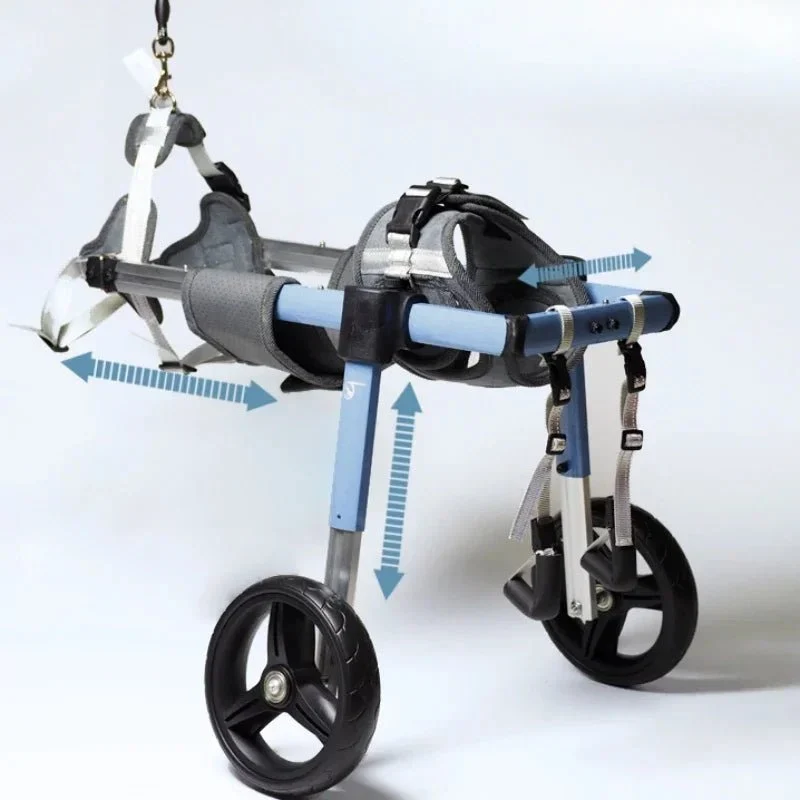Chariot de marche pour chien