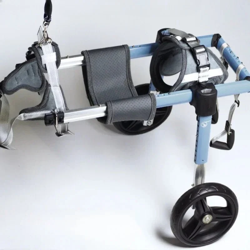 Chariot de marche pour chien
