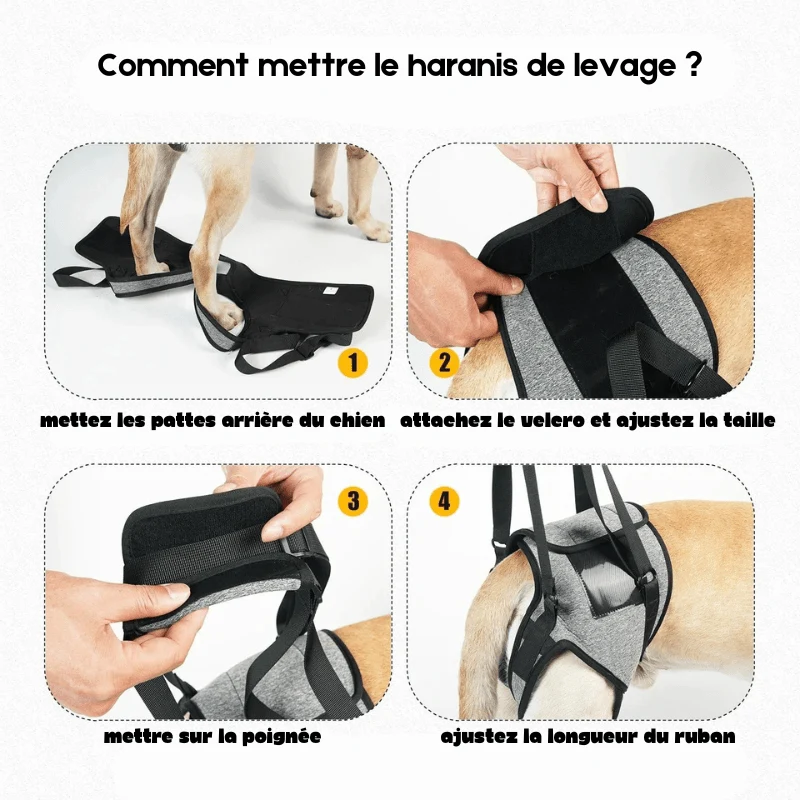 Harnais de soulagement pour chien