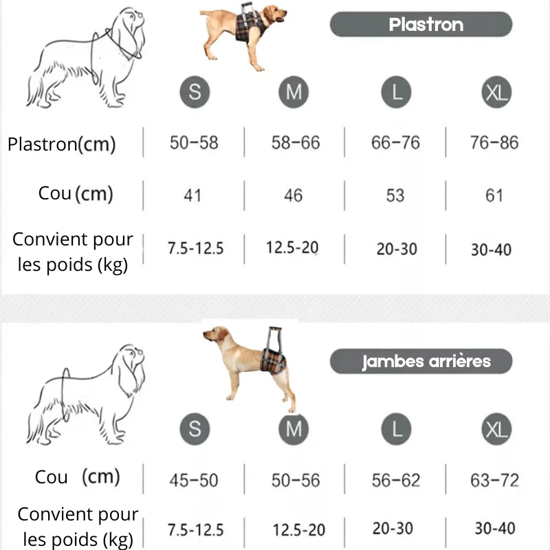 Harnais de portage pour gros chien