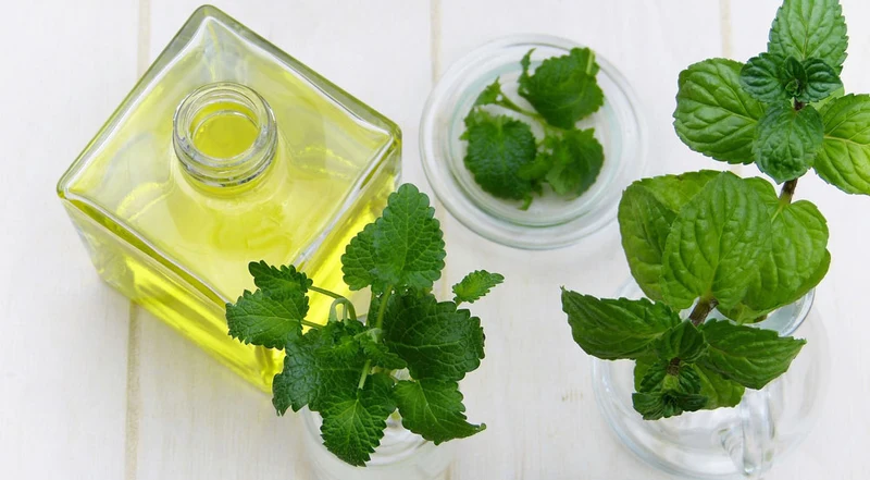 Huile de massage rafraîchissante 8 oz