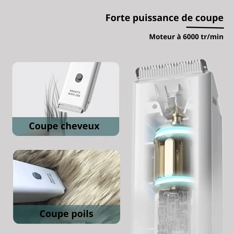 Mini tondeuse pour chien