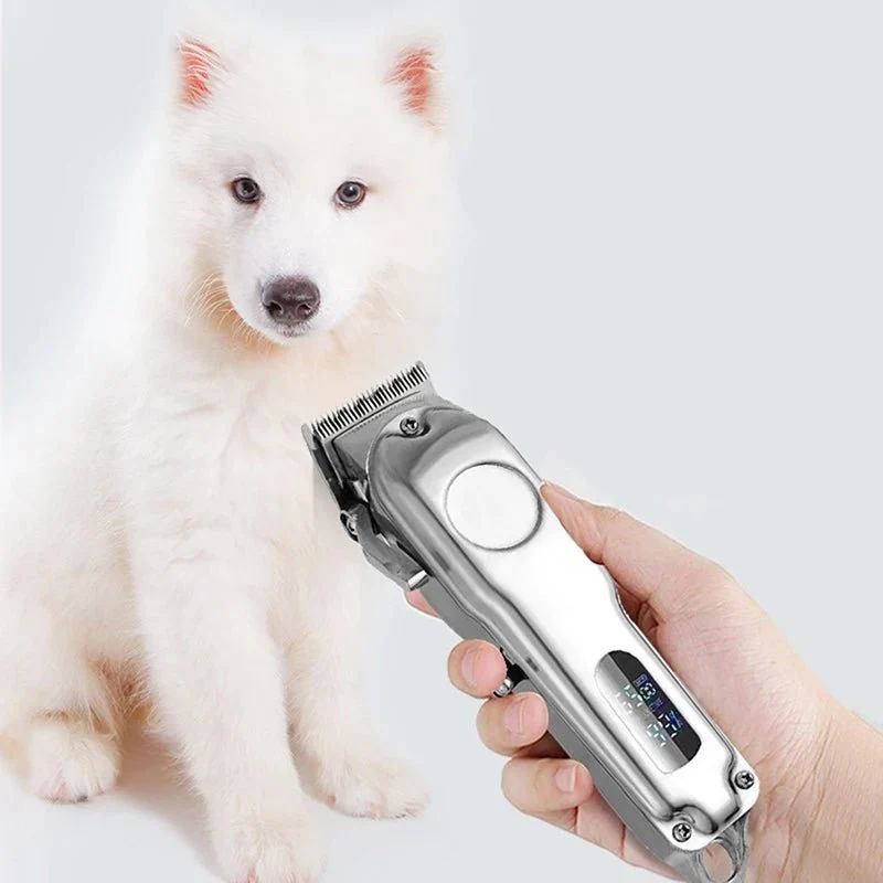 Tondeuse professionnel pour chien