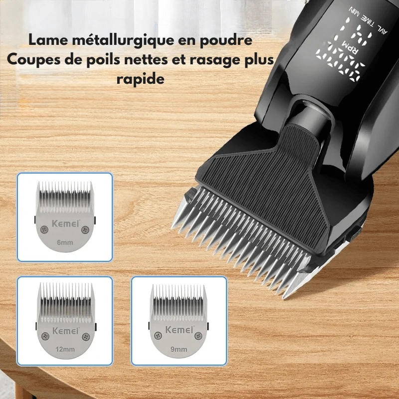 Tondeuse pour toilettage chien