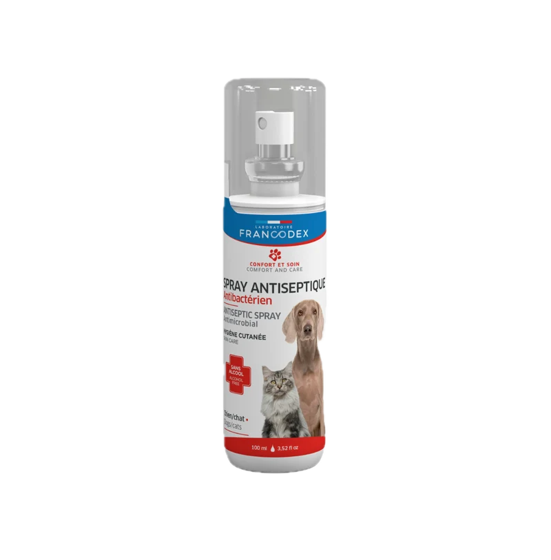 Spray Antiseptique