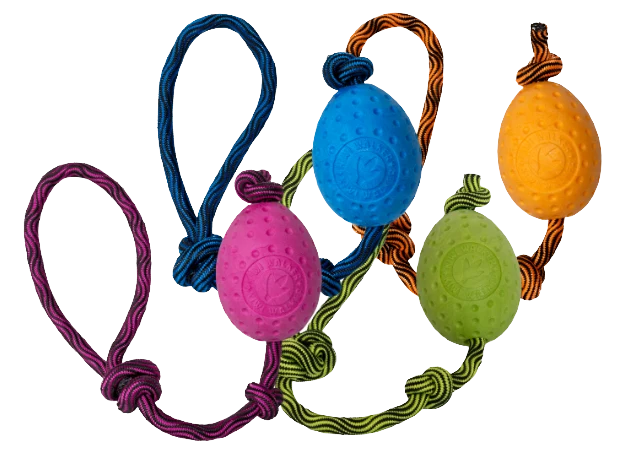 Jouet Egg Maxi - KIWI WALKER