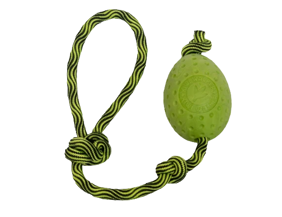 Jouet Egg Maxi - KIWI WALKER