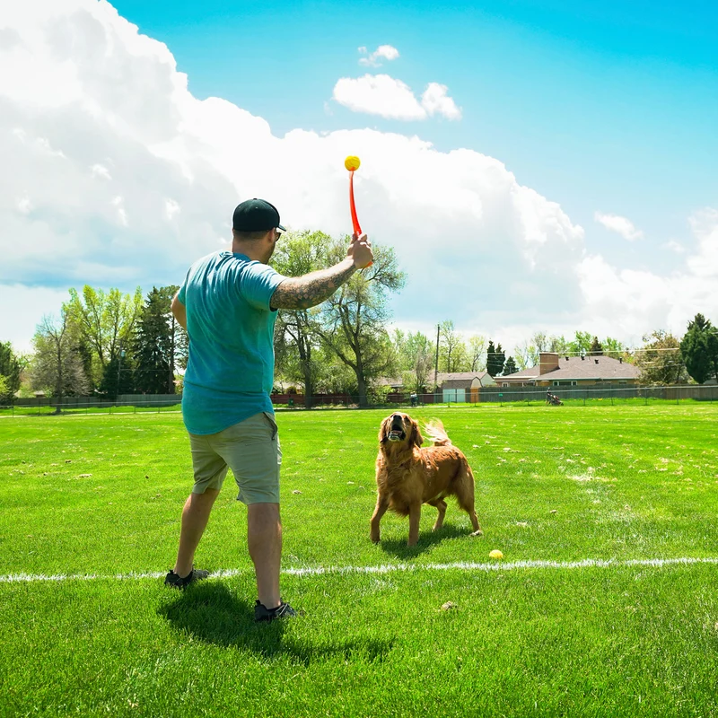Wurf-Hundespielzeug FLINGERZ™ Ball