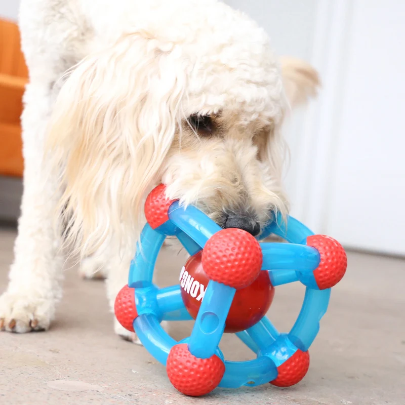 Hundespielzeug KONG® Rewards Tinker