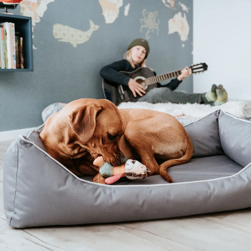 Orthopädisches/Ergonomisches Hundesofa Cleveland