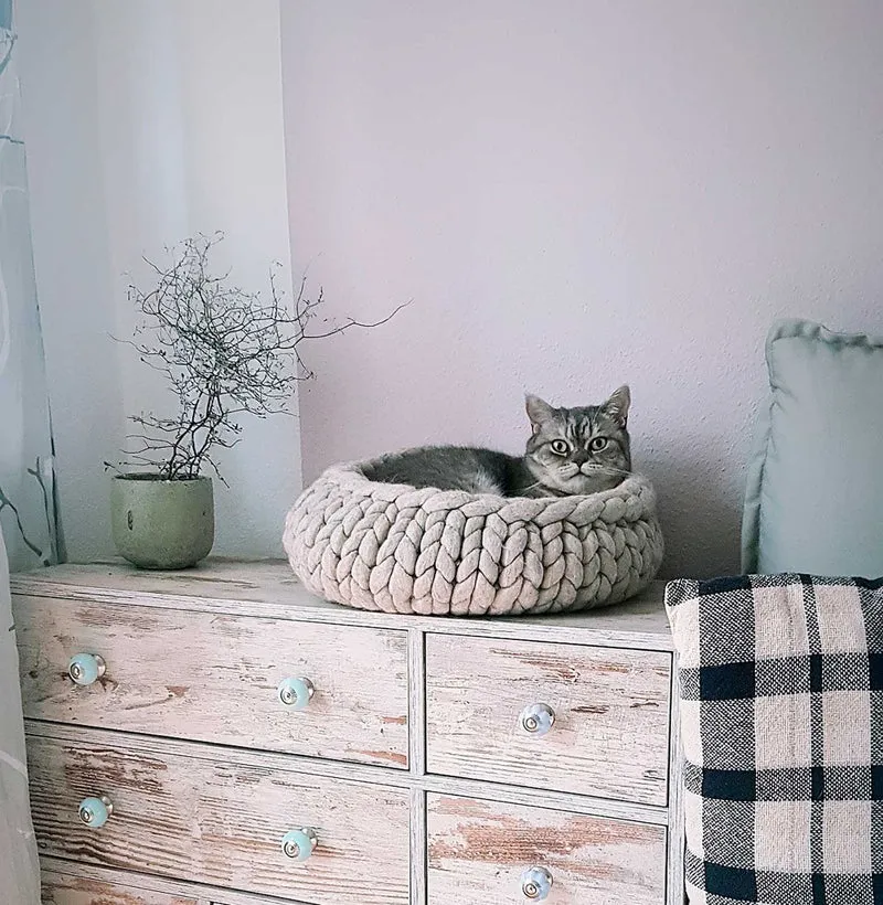 Katzenbett Boogie