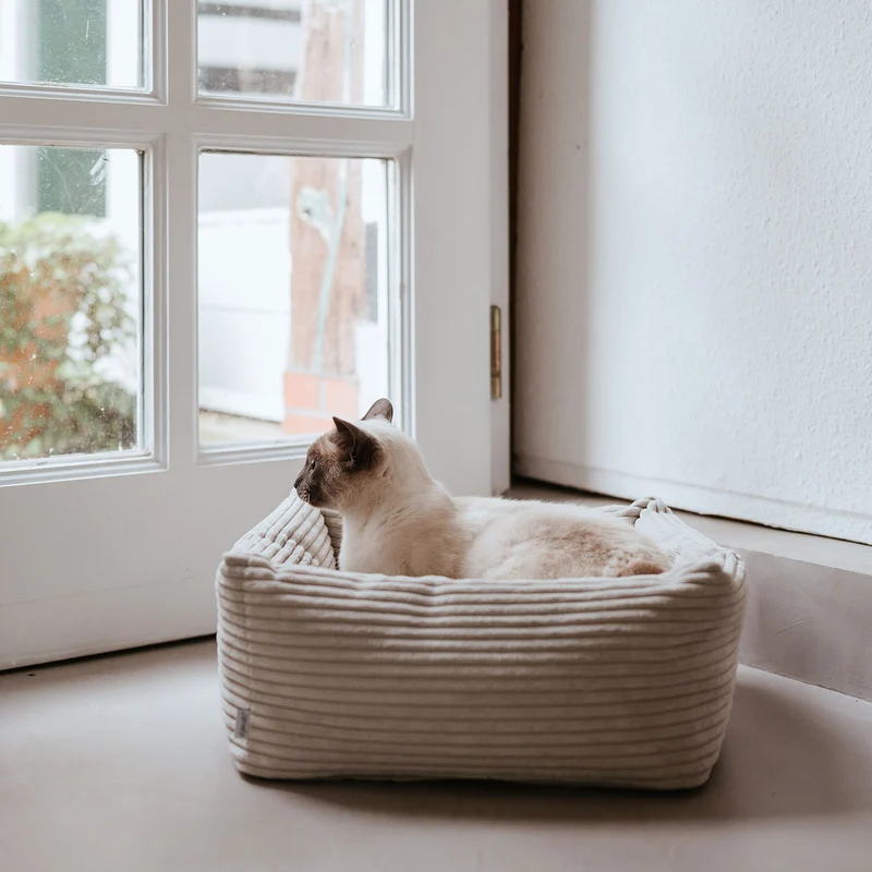Katzenbett Rimini