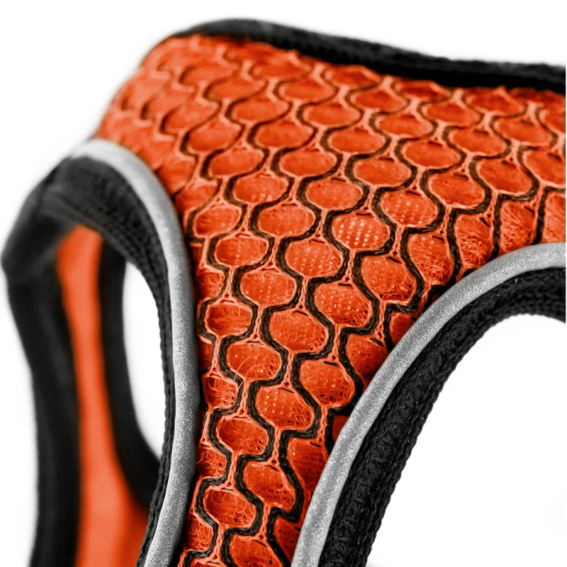 Geschirr Hilo Comfort