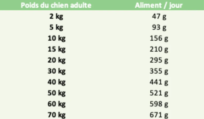 Croquettes Wolfood - Original High Meat