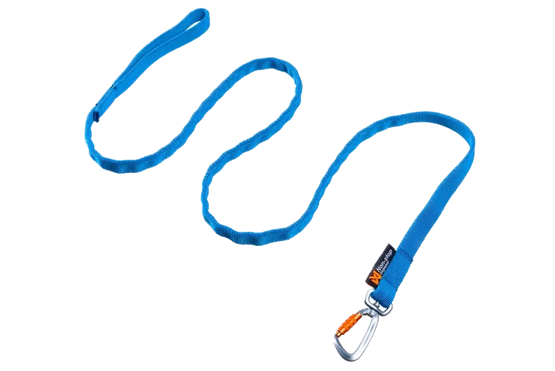 Laisse Bungee - Non Stop Dog Wear
