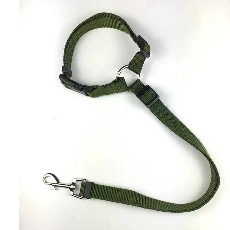 Ceinture de sécurité 2en1 pour chien