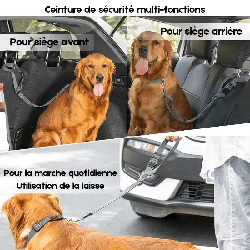 Ceinture de sécurité 2en1 pour chien