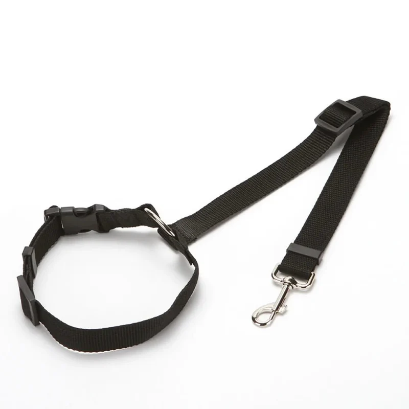 Ceinture de sécurité 2en1 pour chien