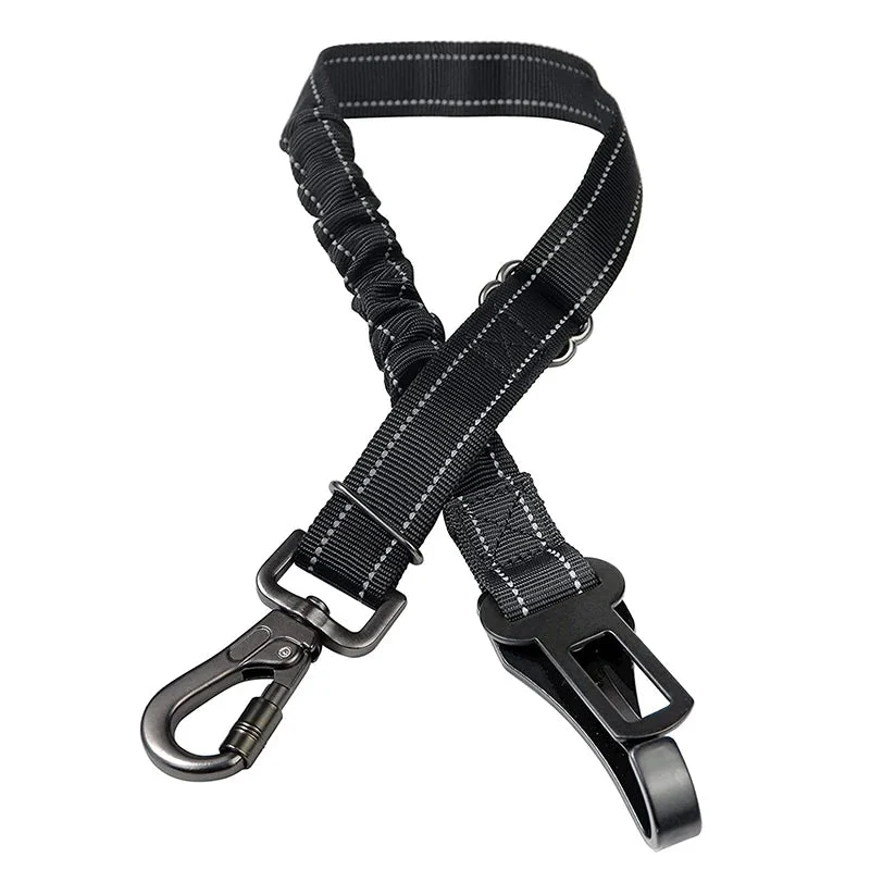 Ceinture de sécurité renforcé pour chien
