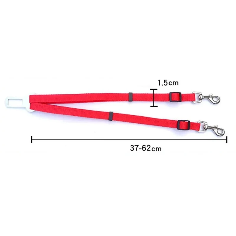 Double ceinture de sécurité