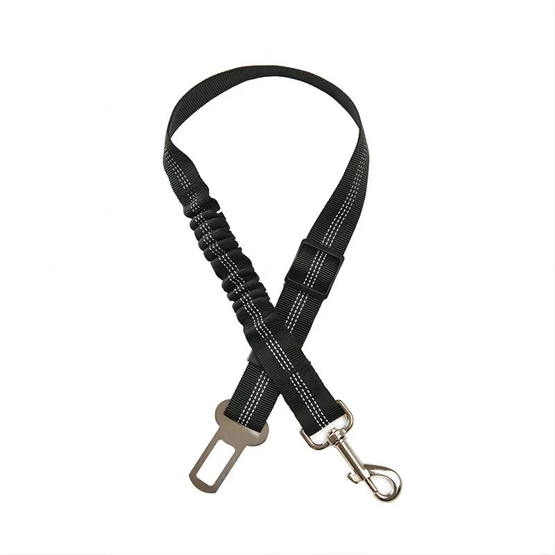 Ceinture de sécurité élastique pour chien
