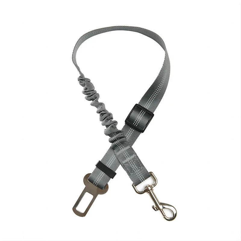 Ceinture de sécurité élastique pour chien