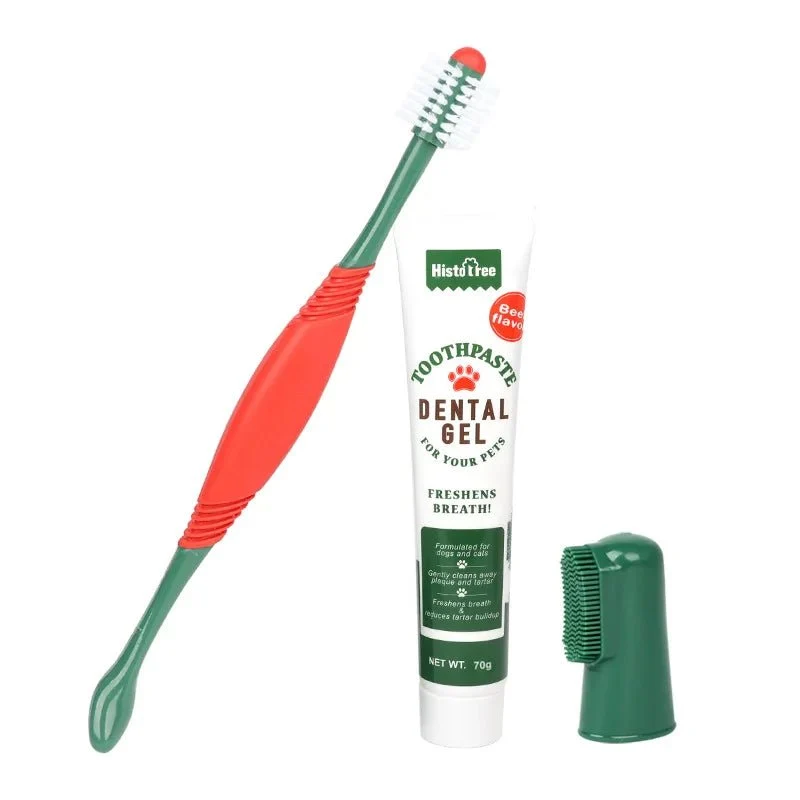 Brosse à dent et dentifrice pour chien