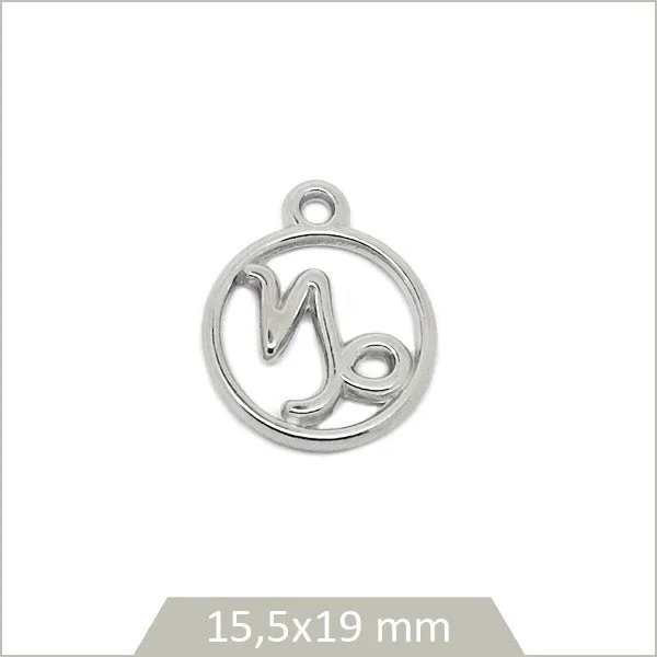 1 breloque astrologie signe Capricorne en acier inoxydable