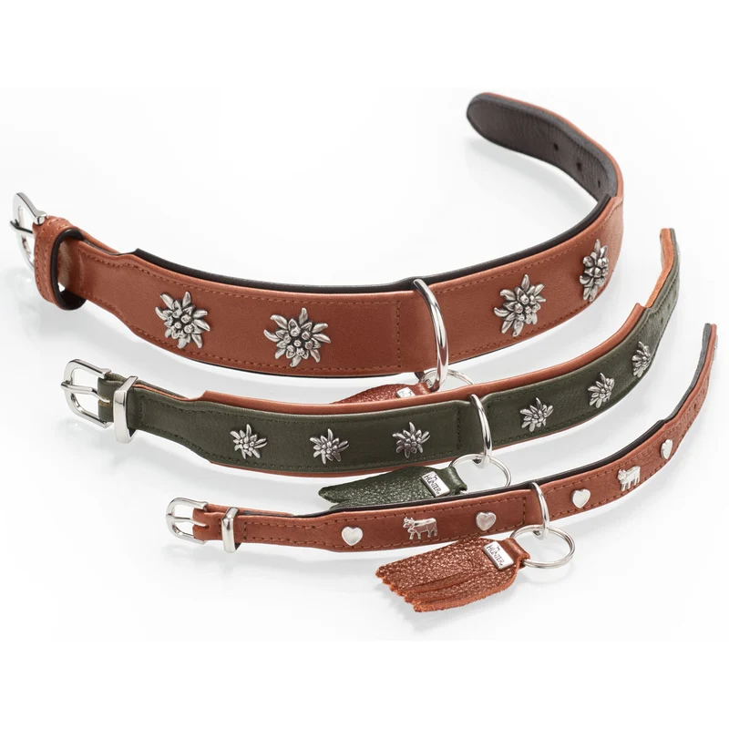 Halsband München