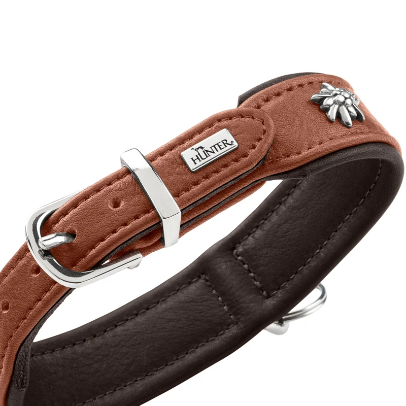 Halsband München