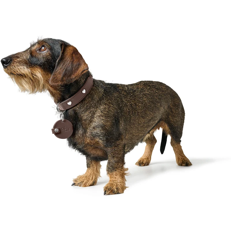 Anhänger Hundemarken-Etui Love