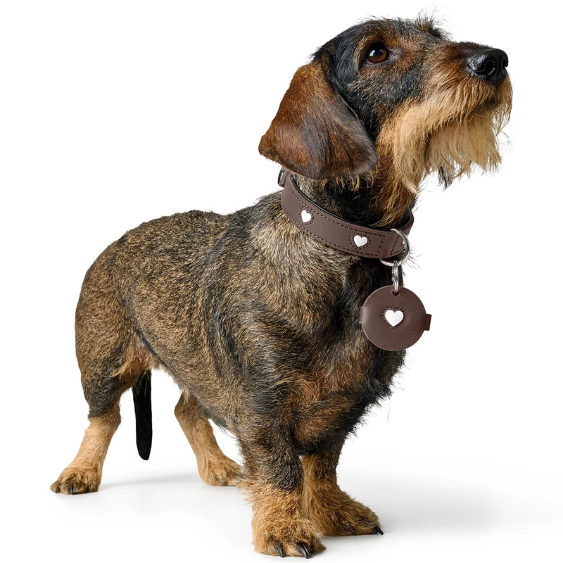 Anhänger Hundemarken-Etui Love
