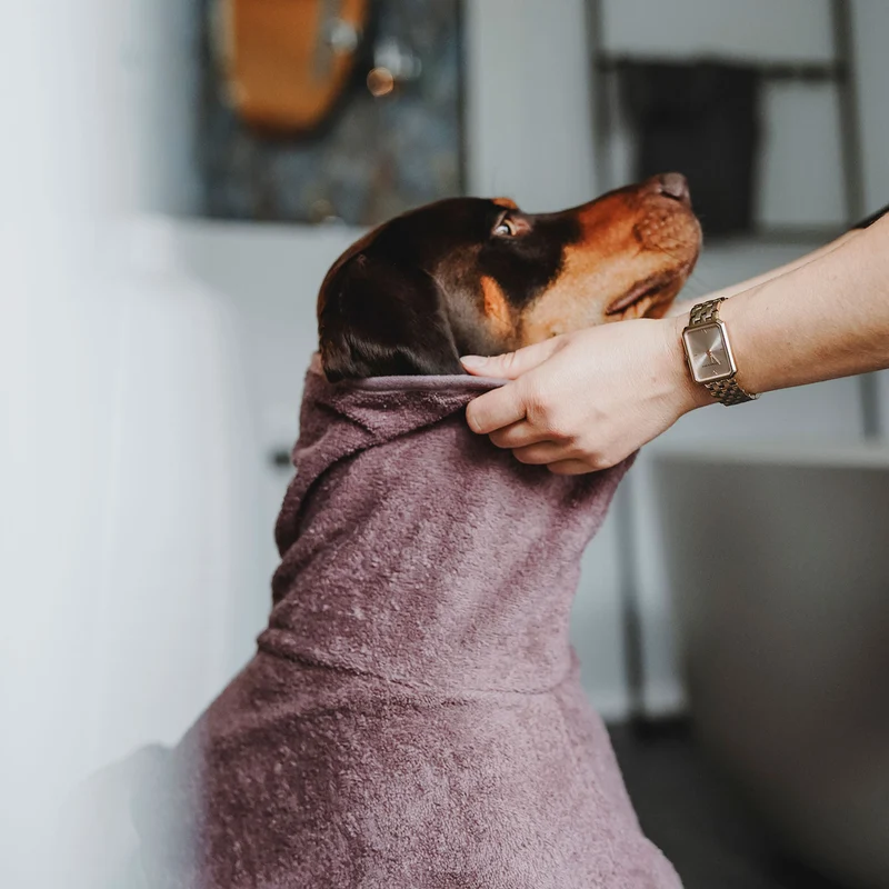 Hunde-Bademantel Riga
