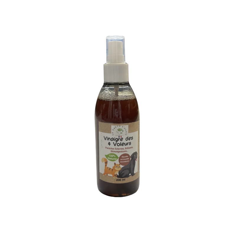 Vinaigre des 4 voleurs