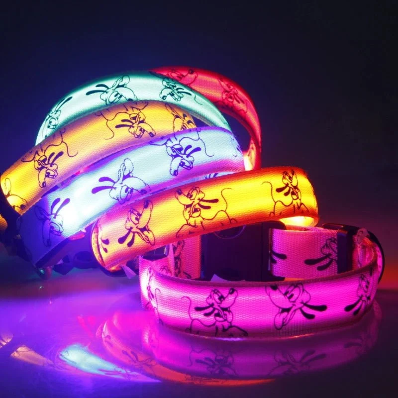 Collier led pour chien