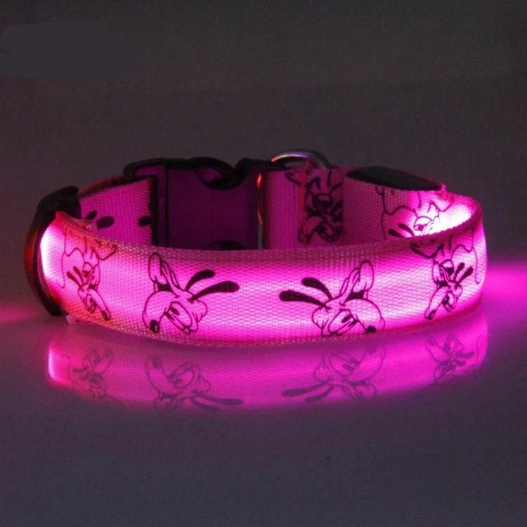 Collier led pour chien