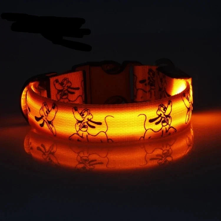 Collier led pour chien