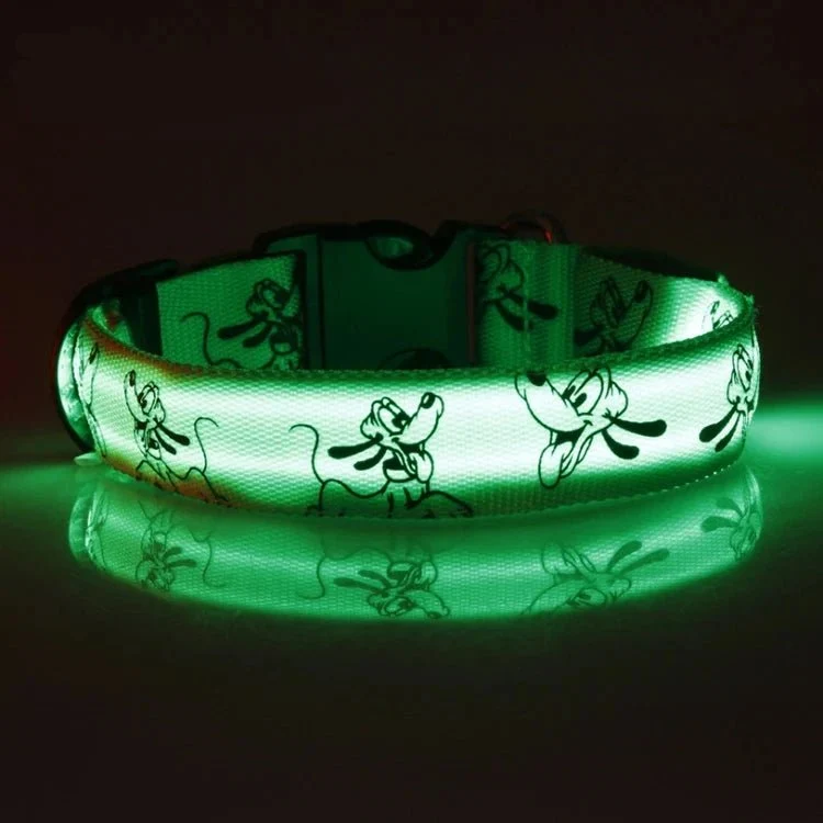 Collier led pour chien