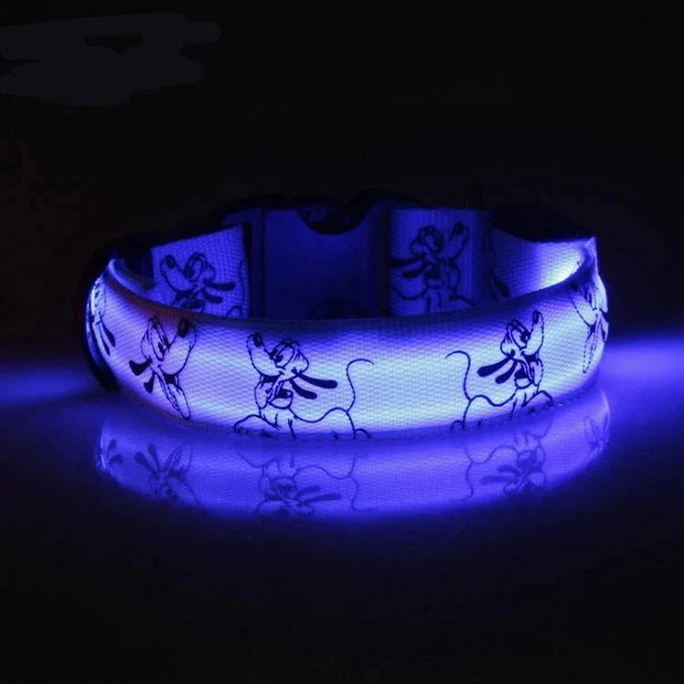 Collier led pour chien
