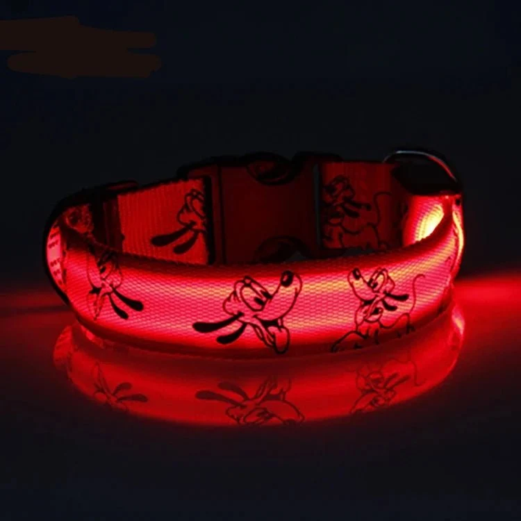 Collier led pour chien