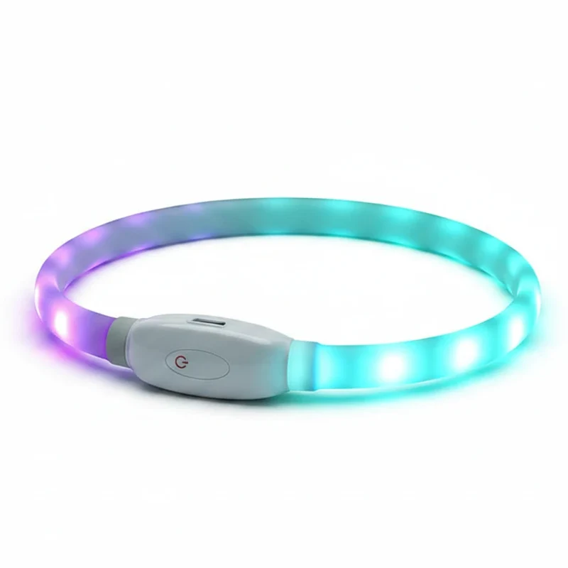 Collier USB rechargeable pour chien