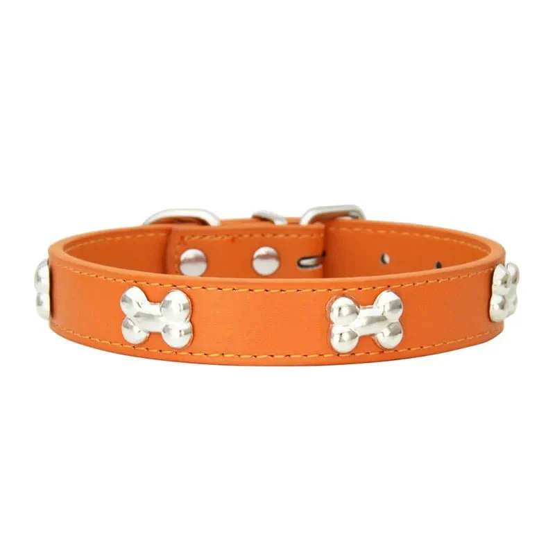 Collier pour petit chien en cuir