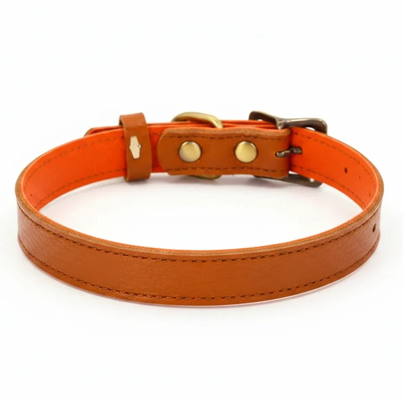 Collier ajustable en cuir pour chien