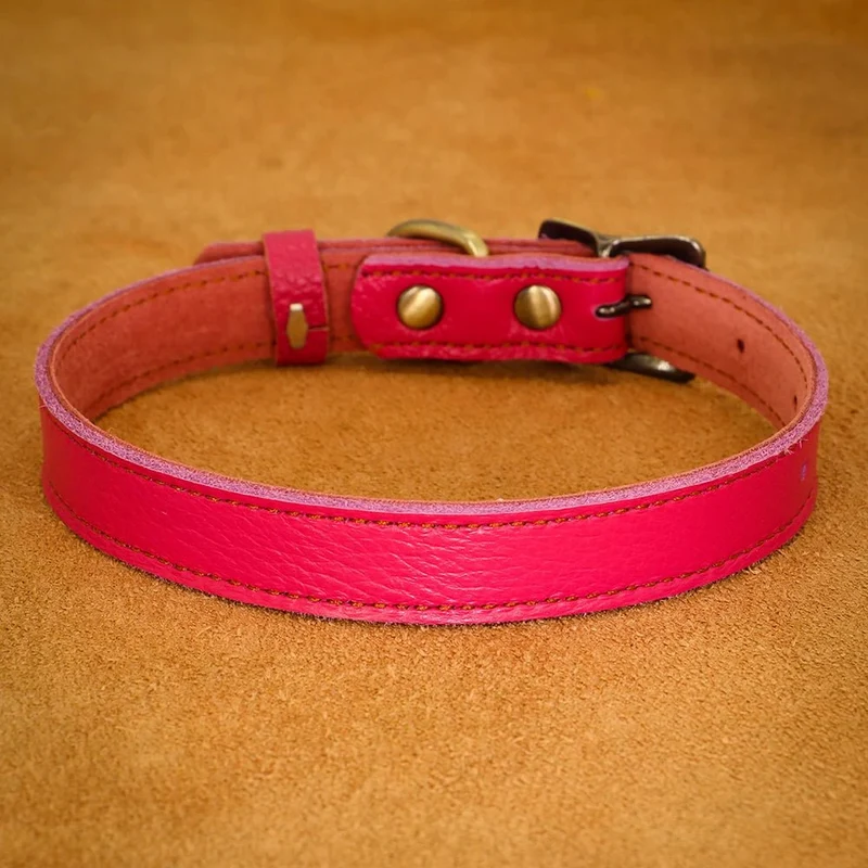 Collier ajustable en cuir pour chien