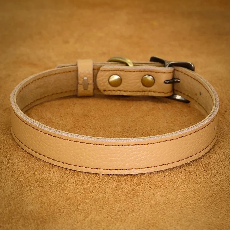 Collier ajustable en cuir pour chien