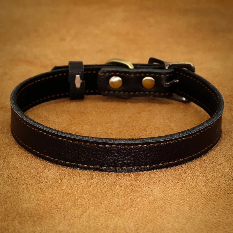 Collier ajustable en cuir pour chien